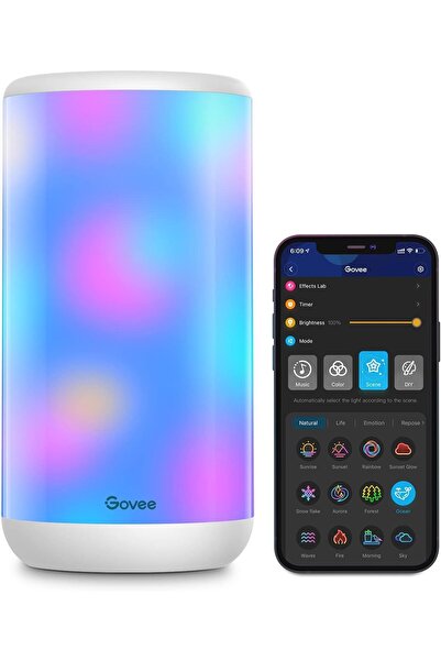 Govee RGBIC Table Lamp, Smart Lamp Work with Alexa, LED Lamp with Music Sync ...