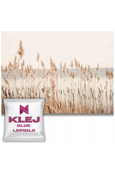 Naklejkomania Tapete Moderne Pentru Living Pampas Grass Boho Bej 260x390