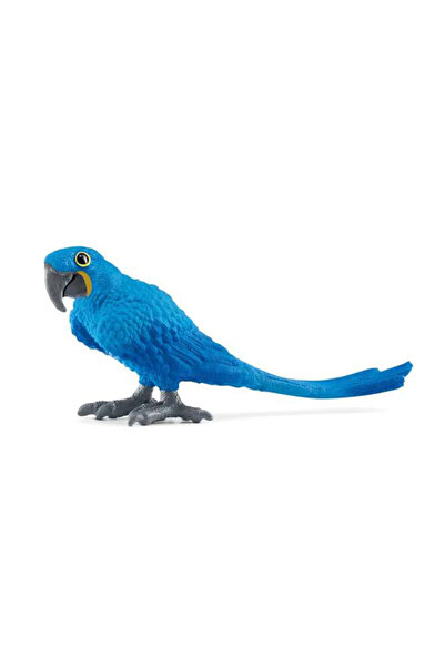 Generic Brand Viață sălbatică - Papagal Macaw albastru