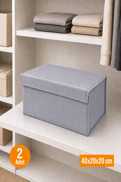 Balkan Room 2 Pieces Gray Closet Organizer with Lid, Foldable Clothing Storag...