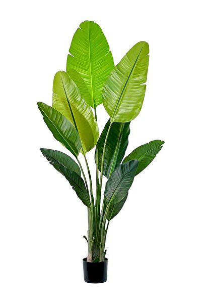 MirageBotanics Artificial Banana Plant Fake Bird of Paradise Plant for Indoor...