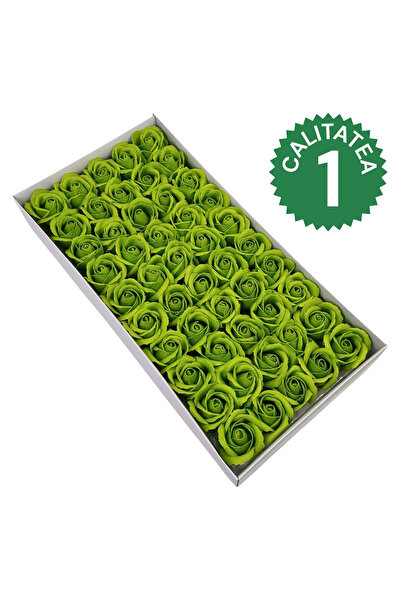 AFO Top Bottom Set of 50 Scented Soap Roses Quality I Pistachio Green