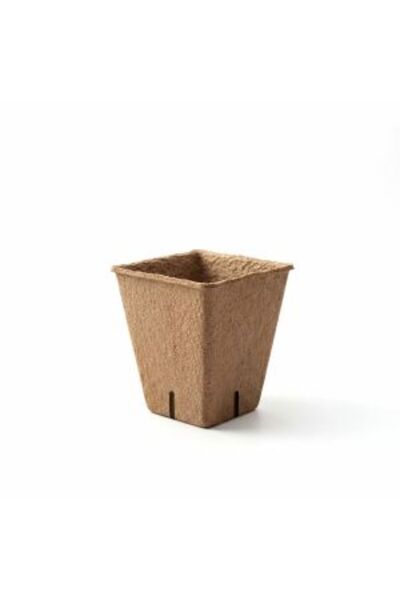 Garden of Eden Ghiveci pentru răsaduri - 6 x 6 cm - pătrat, din hârtie - 12 buc / pachet