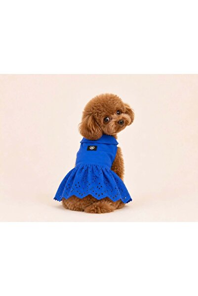 Alphadog Fisto Blue Küçük Irk Köpek Elbisesi