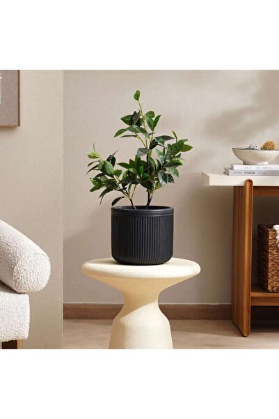 PAN HOME وعاء زرع دوفيكا من البولي ريزين بقطر 24×21.5 سم - رمادي داكن