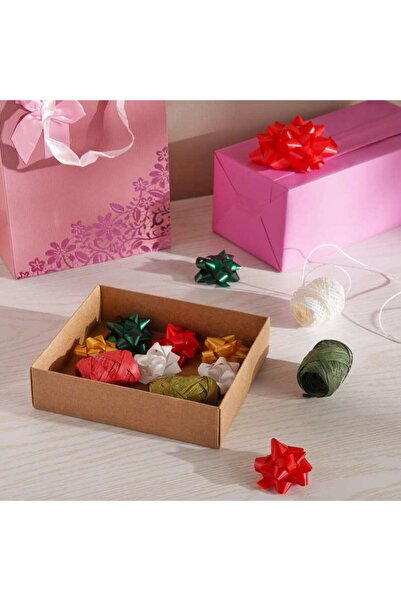 PAN HOME Premium 4-Piece Gift Decore Bows and Ropes-Multi