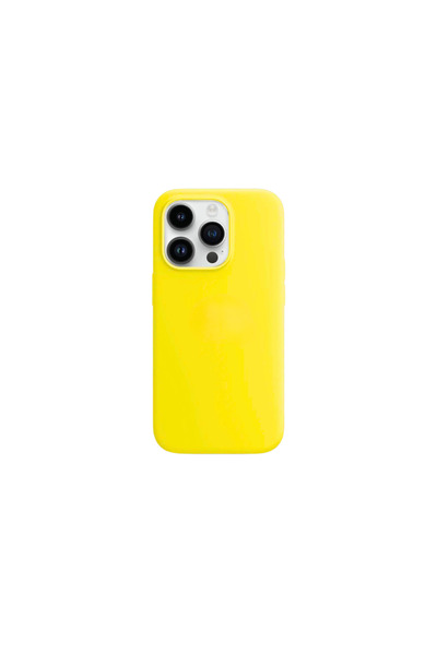 OEM Husa compatibila iPhone 13 Pro Max