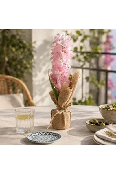 SHOPIENS Ghiveci cu zambilă roz 32 cm