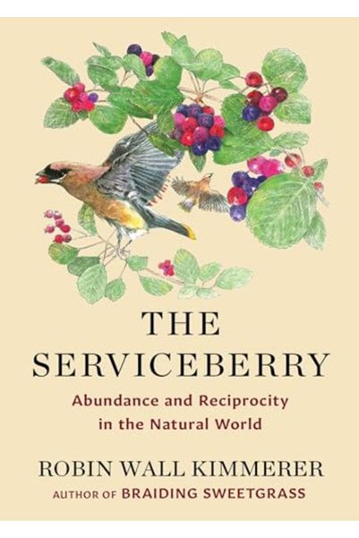 Scribner Serviceberry