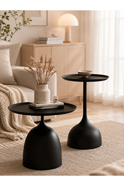 Shangxing 2 Pack Round Metal Coffee Side Tables, Minimalist Nordic Black Acce...
