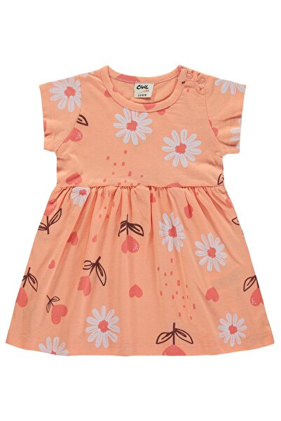 Civil Baby Floral Heart Print 6-18 Months Dress - Powder