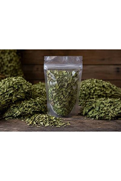 Herb Moringa