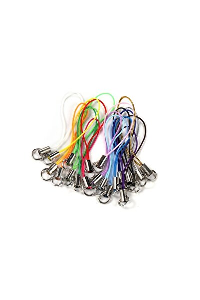Choice Mixed color 100pcs 100Pcs Lanyard Lariat Cord Lobster Clasp Rope Chris...