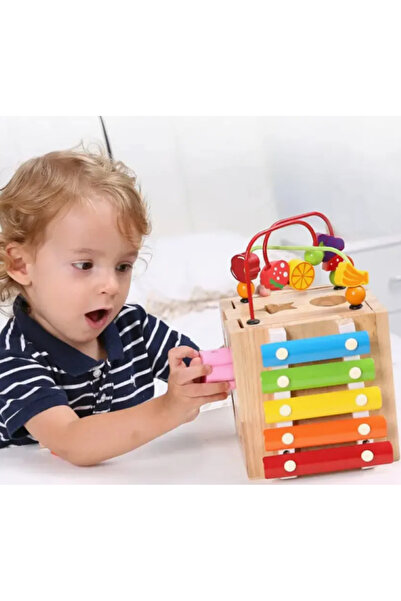 OEM Montessori , Cub Educațional Multifuncțional din Lemn – Centru de Activit...