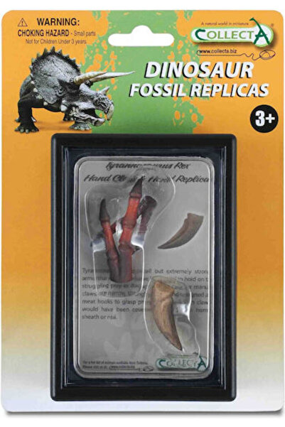 Collecta Dinte și osuri de Tyrannosaurus Rex, descoperite în cutie, 11,5 cm