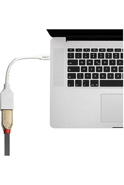 LİNDY Convertor mini DisplayPort tată la DisplayPort mamă Alb 1 buc. 41021