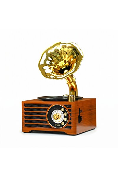 ROYALTREND Gramafon Mini Nostalji Radyo,Bluetooth Nostaljik Trend Radyo