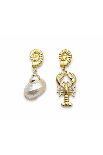 Venus Design Steel Scorpion Sea Shell Earrings