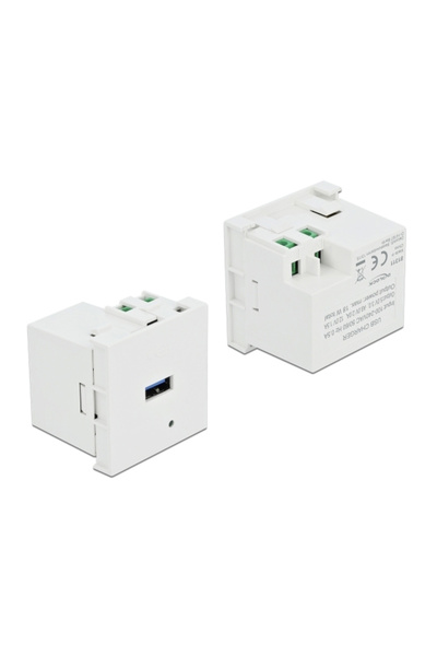 DELOCK module USB θύρα φόρτισης Easy 45 81311, 18W, 45x45mm, λευκό