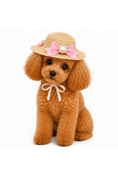 Dolce Pets Kedi ve Köpek Kıyafeti İnci Fiyonklu Hasır Köpek Şapkası