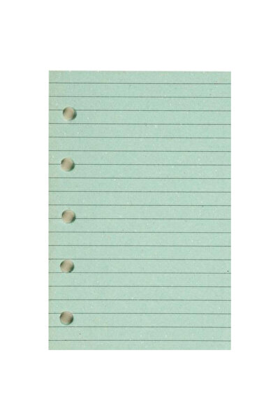 OEM Inserție pentru organizator Antra ST, folie 174×95 mm, linie verde