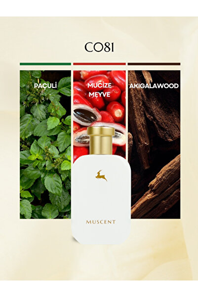 MUSCENT C081 Barrennia 50 ml.