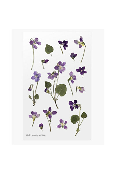 OEM Stickere/abtibilduri decorative Appree Manchurian Violet, din PET, cu flo...