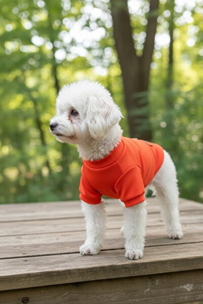 PATİLİNKA Cat - Dog Summer Breathable Mesh T-Shirt - Clothing - Dress - Shirt...