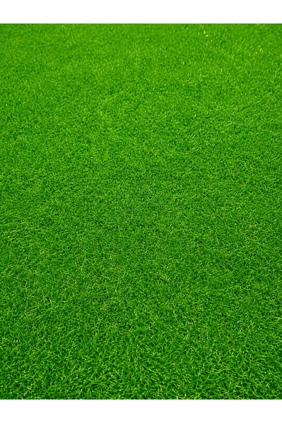 DeltaDesign Gazon Iarba Artificiala, Model Leisure Inaltime fir 15 mm, Verde ...