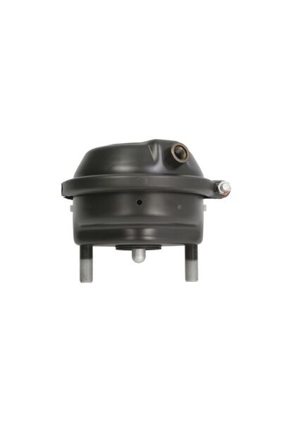 Meritor Camera de Franare, Cilindru Hidraulic Spate (20, Cursa: 75mm) Rvi