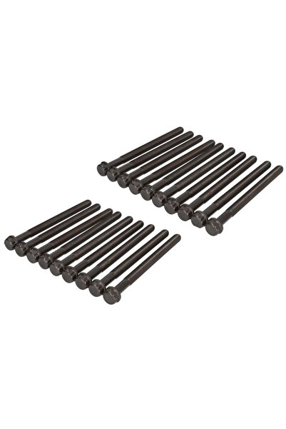 REINZ Set de Suruburi pentru Capul Cilindrului (19buc) Mercedes Actros MP4 / ...