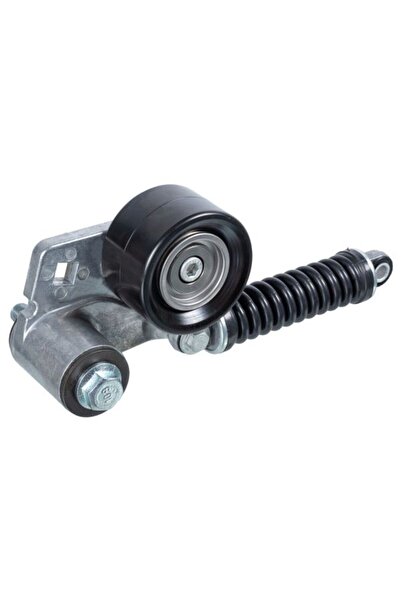 FEBI BILSTEIN Intinzator de Curea Multi-v Mercedes Tourismo (o 350) Travego (...