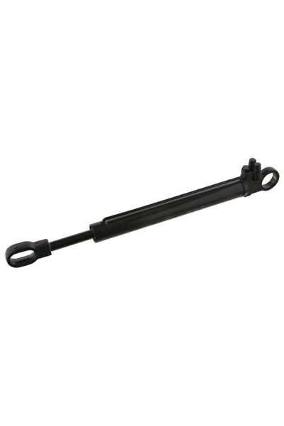 FEBI BILSTEIN Cilindru de Rabatare a Cabinei Soferului Mercedes Mk Ng Sk 08.7...