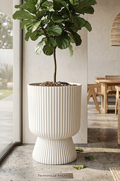 TEMMUZ HOME 1 Adet 10.5 Litre Büyük Boy Çizgili Ayaklı Saksı - Lotus 3 No (De...