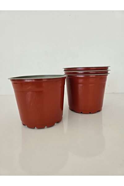 Asenya Vakum Saksı 50 adet 17x13 cm Kare Saksı Çiçek Saksısı Üretim Saksısı U...