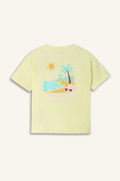 DeFacto 100% Cotton Relax Fit Palm Combed Cotton Short Sleeve Light Green T-S...