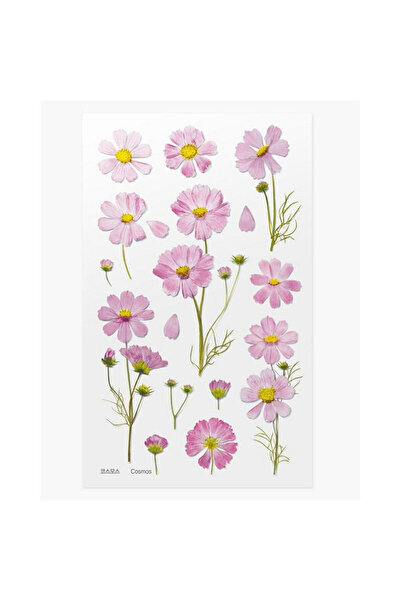APPREE Stickere decorative/Autocolante Kwiaty Aster, din PET, autoadezive, fo...