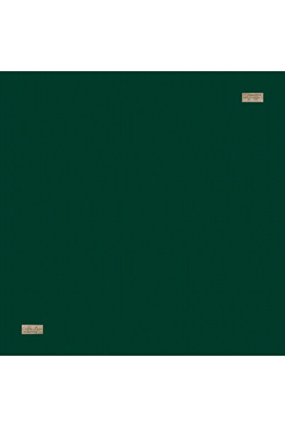 LA BOUTIQUE Labouti̇que Di̇ana Eşarp Cotton Modal Crystal Woven Plain Emerald