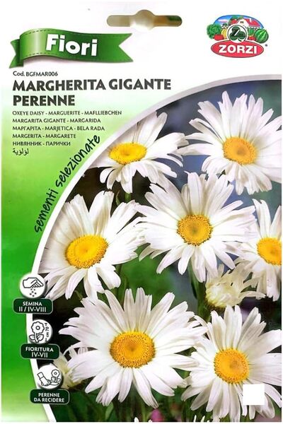 GENERAL Pearl Seeds 3pact