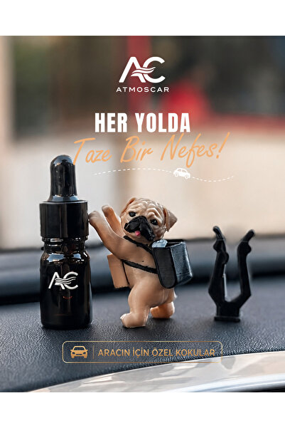 Atmoscartr ARABA KOKUSU COCONUT KOKUSU