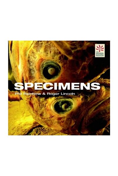 Natural History Museum Specimene