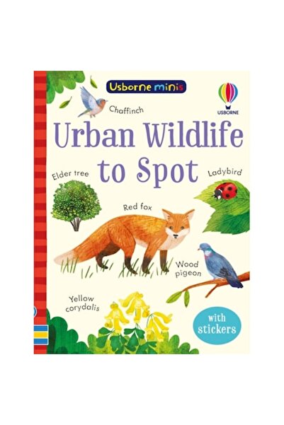 Usborne Αστική άγρια ζωή προς παρατήρηση - Κέιτ Νόλαν