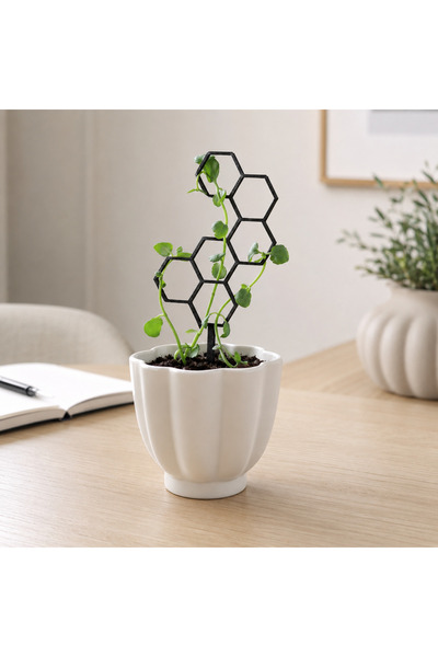 sportivoshop Suport de plante pentru ghiveci, model hexagonal tip fagure, tut...