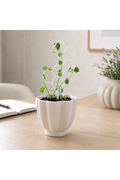 sportivoshop Suport de plante pentru ghiveci, model hexagonal tip fagure, tut...