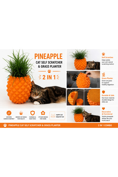 SAF HOBİ ATÖLYE DESİGN Pineapple Design Cat Scratching Device and Cat Grass P...