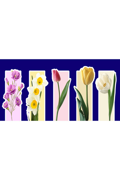 TELLGRAF Specially Cut, Floral Bookmark (4X12 cm 10 Pieces)