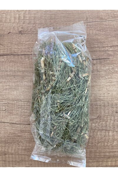 ALTIN GIDA 45 36 Gr Kırkkilit Herb (Horse Tail Herb) – Natural Dried Herbal T...