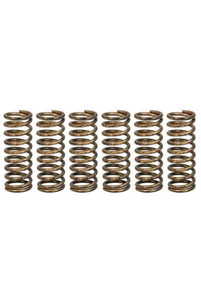 TRW Set Arcuri Ambreiaj Honda Crf 450 2002-2009 HONDA CRF