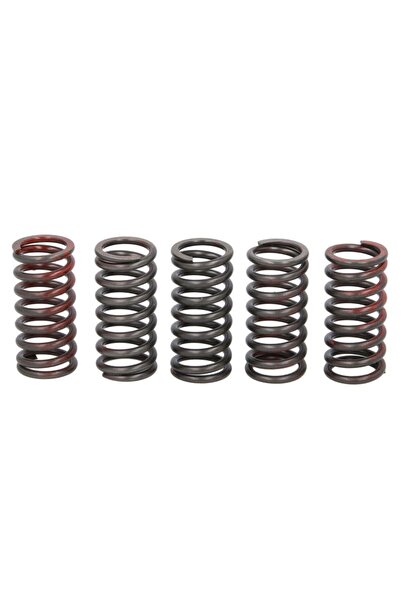 TRW Set Arcuri Ambreiaj Husqvarna Tx Ktm Exc-f Sx Sx-f Xc-f Xcf-w 125/150/250...