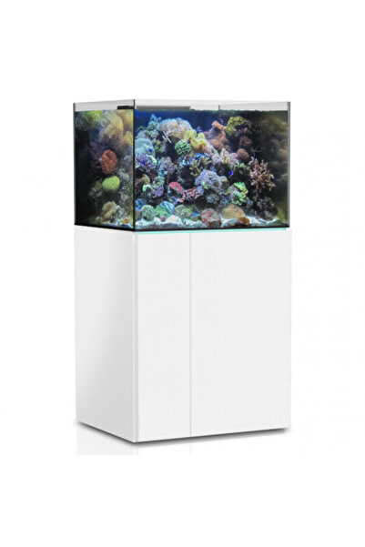 Aqua Medic Armatus 250 Aquarium 190L - Frameless Saltwater Aquarium With Unde...